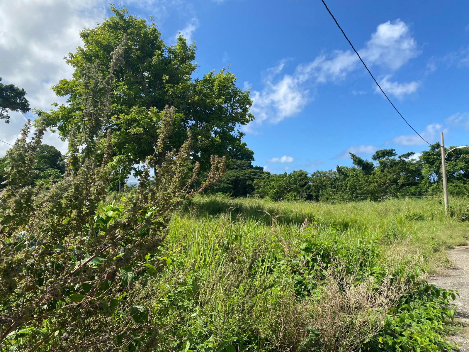 Fourth image of 27b White River Pines Ocho r in Ocho Rios, St. Ann, Jamaica - property is For Sale
