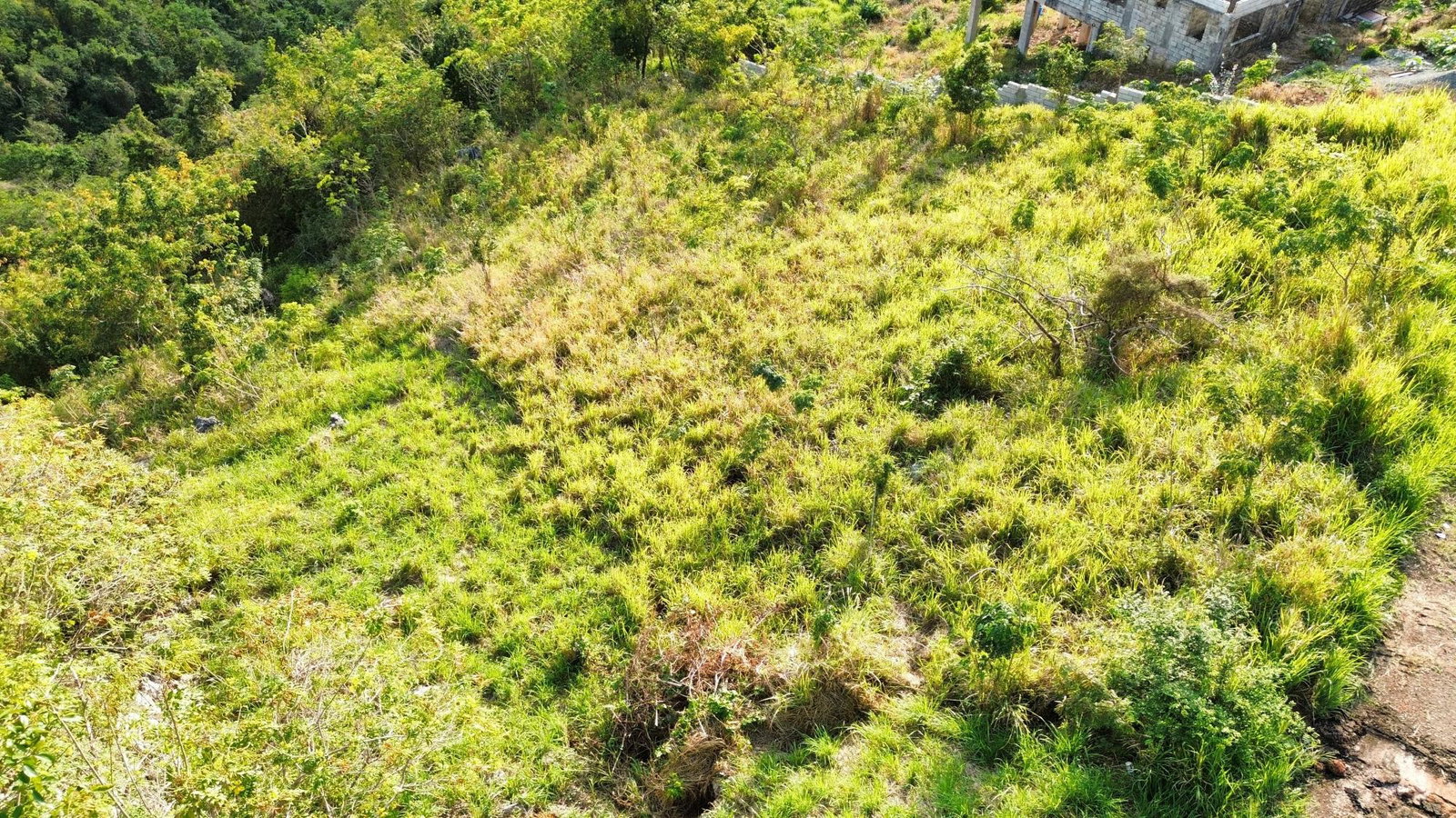 Seventh image of 430 Plantation Drive in Red Hills, St. Andrew, Jamaica - property is For Sale