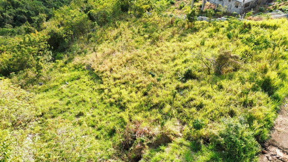 Seventh image of 430 Plantation Drive in Red Hills, St. Andrew, Jamaica - property is For Sale
