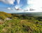 First image of 430 Plantation Drive in Red Hills, St. Andrew, Jamaica - property is For Sale