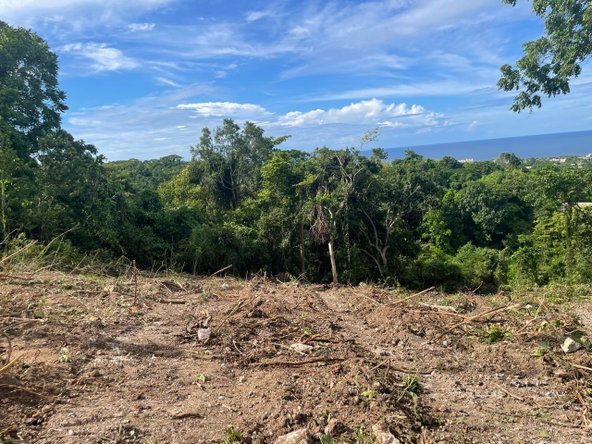 Sixth image of 26 Valley Minor in Runaway Bay, St. Ann, Jamaica - property is For Sale