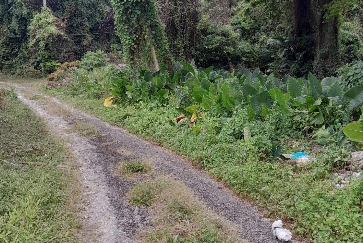 Second image of Zion Hill Portland in Fairy Hill, Portland, Jamaica - property is For Sale