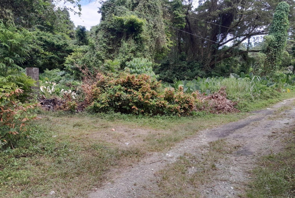 First image of Zion Hill Portland in Fairy Hill, Portland, Jamaica - property is For Sale