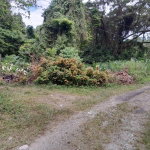 First image of Zion Hill Portland in Fairy Hill, Portland, Jamaica - property is For Sale