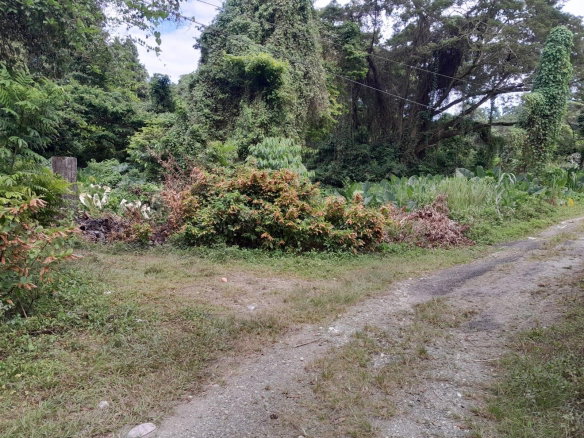 First image of Zion Hill Portland in Fairy Hill, Portland, Jamaica - property is For Sale