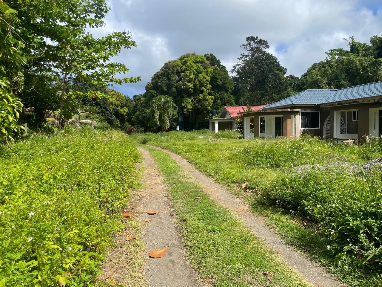 Second image of Lot-7 Burlington Estate in Burlington, Portland, Jamaica - property is For Sale