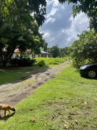 Fourth image of Lot-7 Burlington Estate in Burlington, Portland, Jamaica - property is For Sale