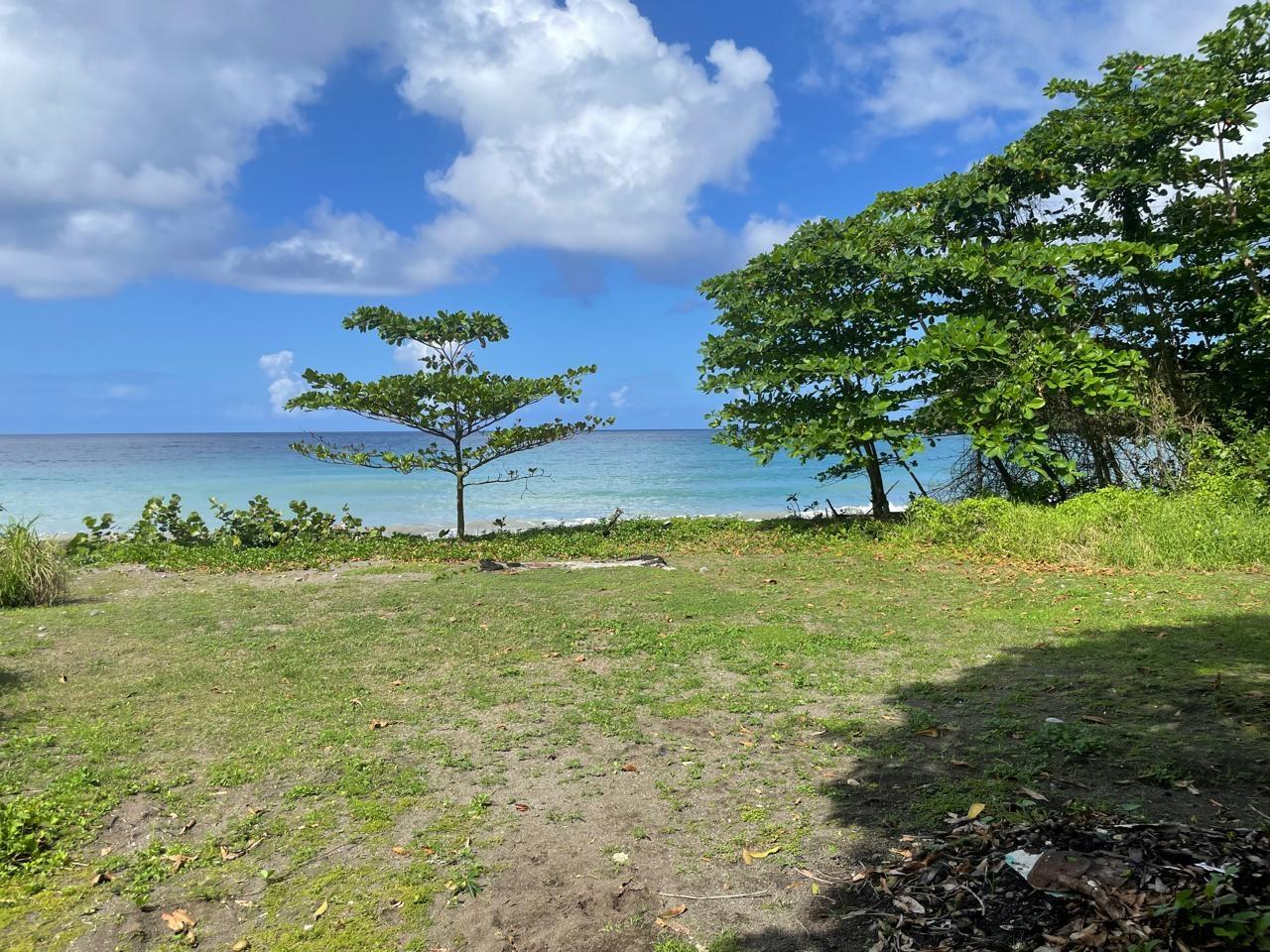Sixth image of Lot-7 Burlington Estate in Burlington, Portland, Jamaica - property is For Sale