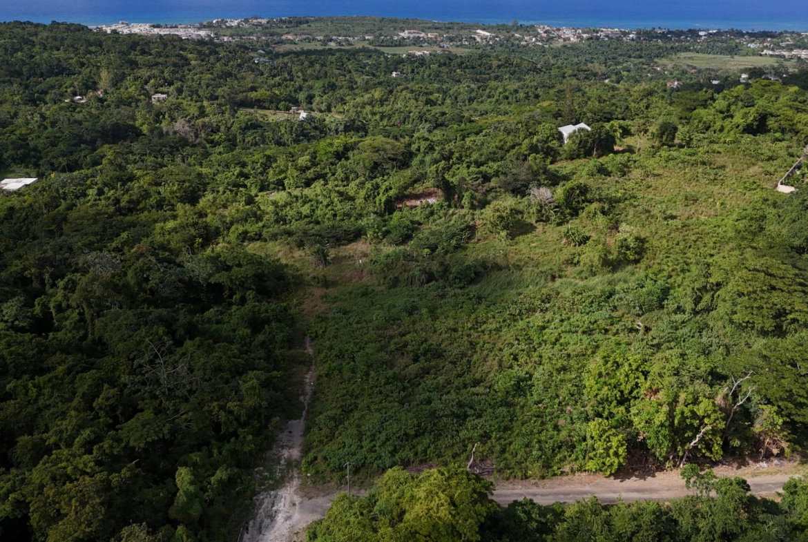 Second image of Lot 95 Cardiff Hall in Runaway Bay, St. Ann, Jamaica - property is For Sale
