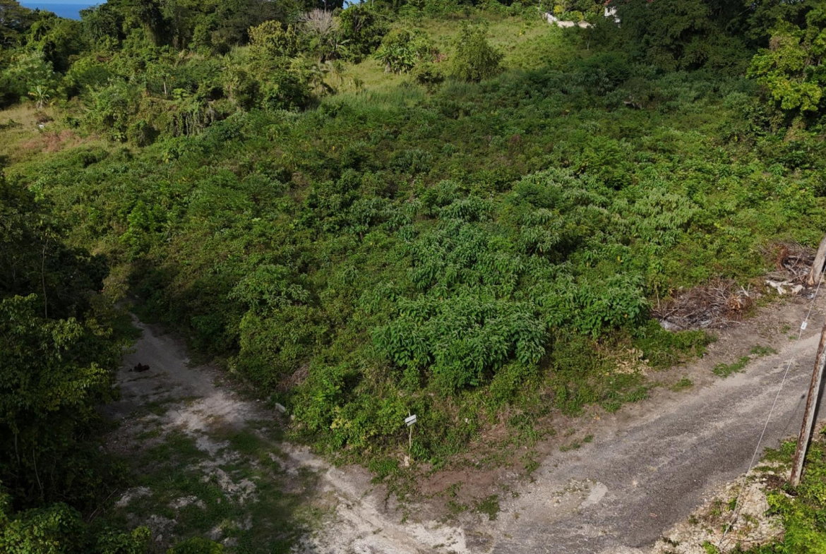 First image of Lot 95 Cardiff Hall in Runaway Bay, St. Ann, Jamaica - property is For Sale