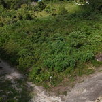 First image of Lot 95 Cardiff Hall in Runaway Bay, St. Ann, Jamaica - property is For Sale