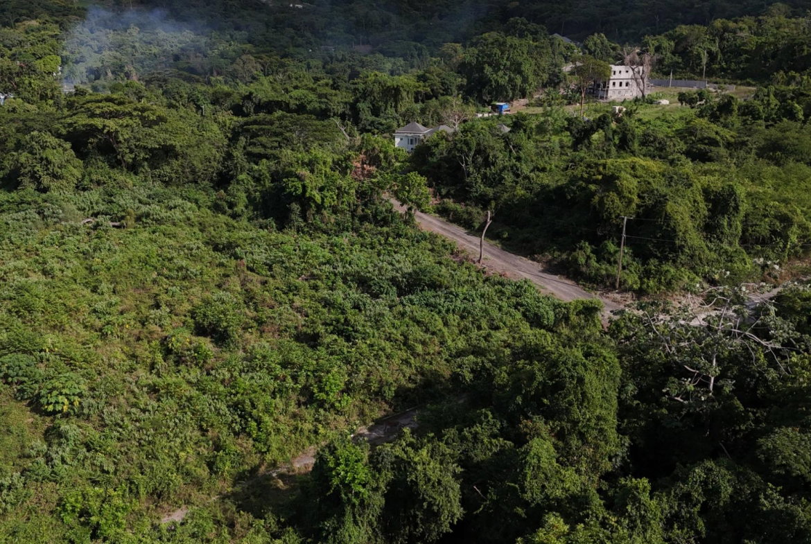 Third image of Lot 95 Cardiff Hall in Runaway Bay, St. Ann, Jamaica - property is For Sale