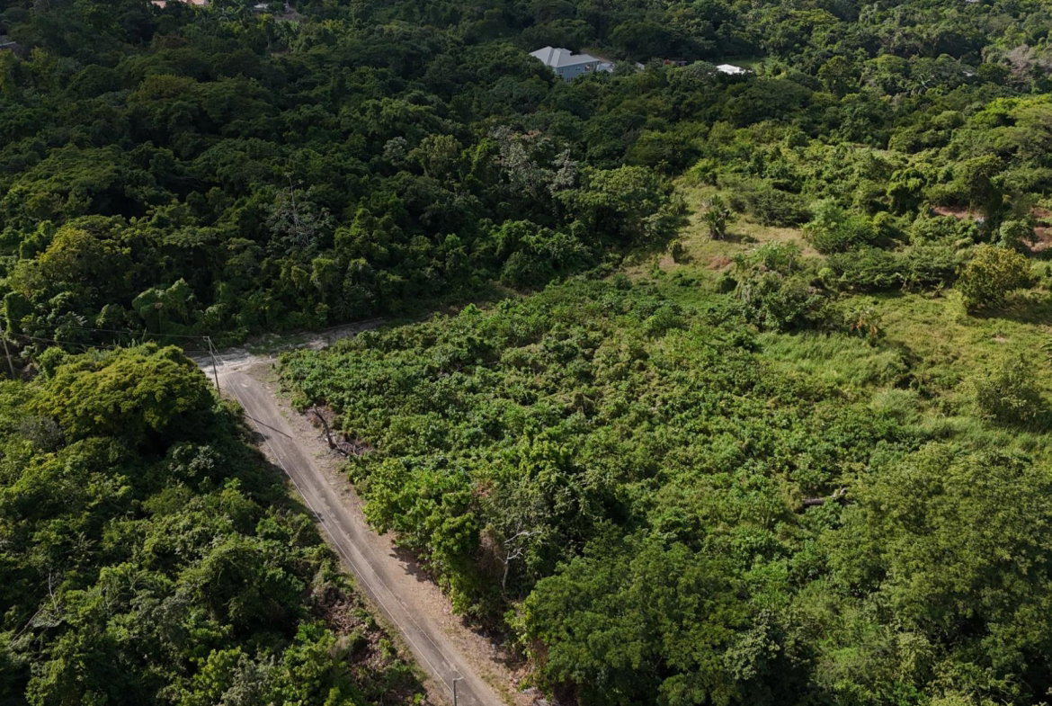 Fourth image of Lot 95 Cardiff Hall in Runaway Bay, St. Ann, Jamaica - property is For Sale