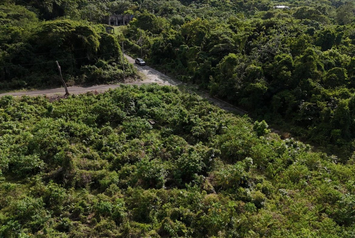 Fifth image of Lot 95 Cardiff Hall in Runaway Bay, St. Ann, Jamaica - property is For Sale