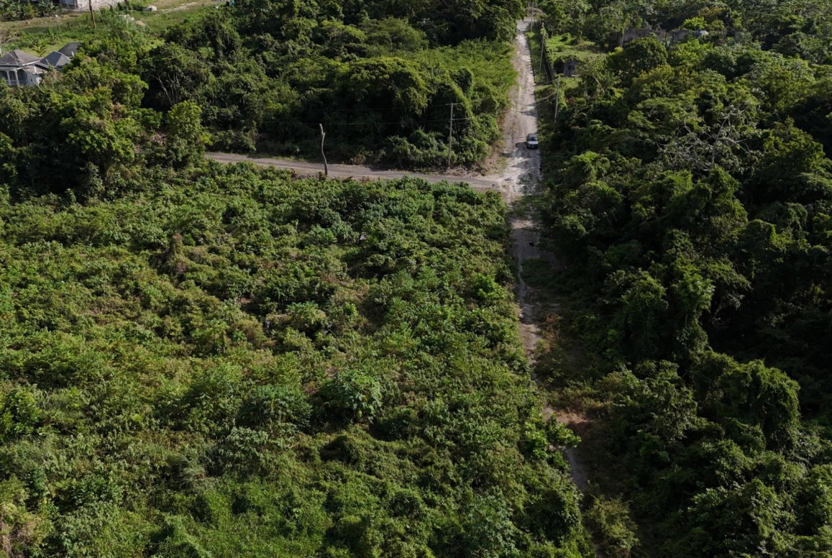 Sixth image of Lot 95 Cardiff Hall in Runaway Bay, St. Ann, Jamaica - property is For Sale
