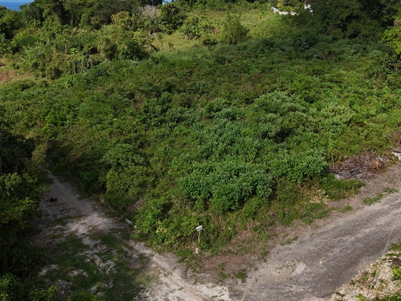 First image of Lot 95 Cardiff Hall in Runaway Bay, St. Ann, Jamaica - property is For Sale