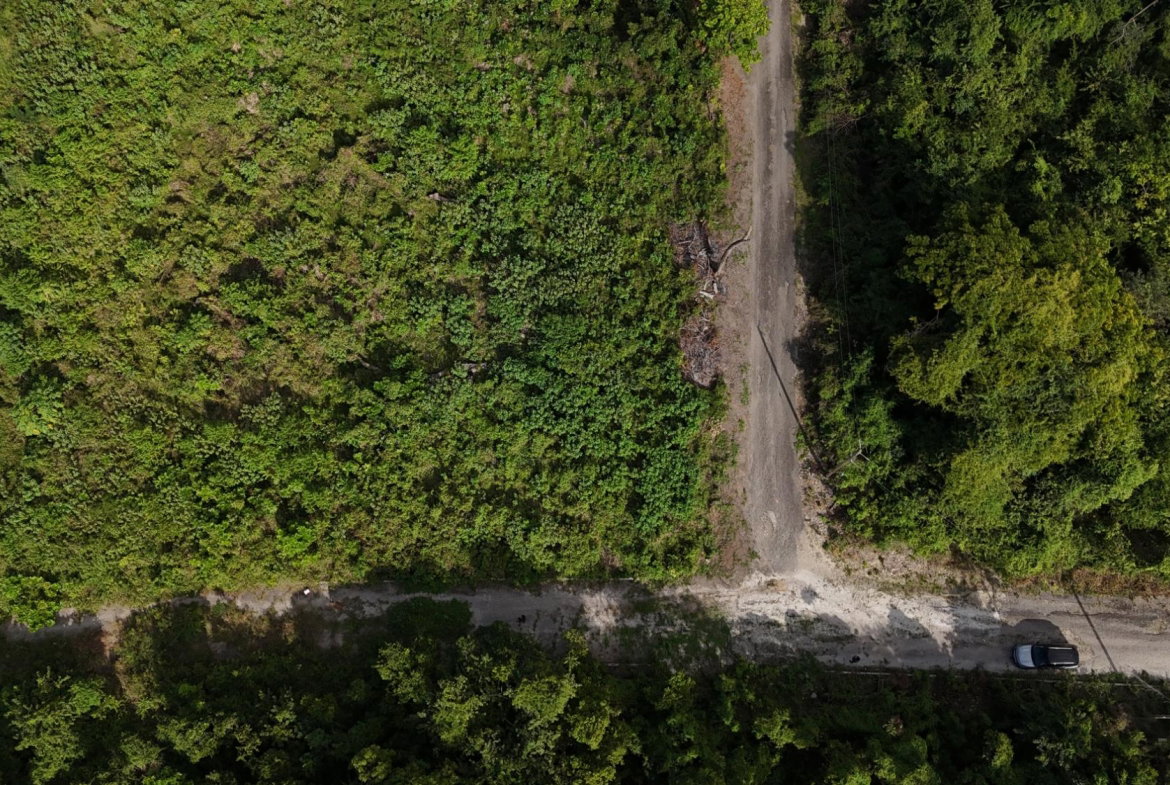 Seventh image of Lot 95 Cardiff Hall in Runaway Bay, St. Ann, Jamaica - property is For Sale
