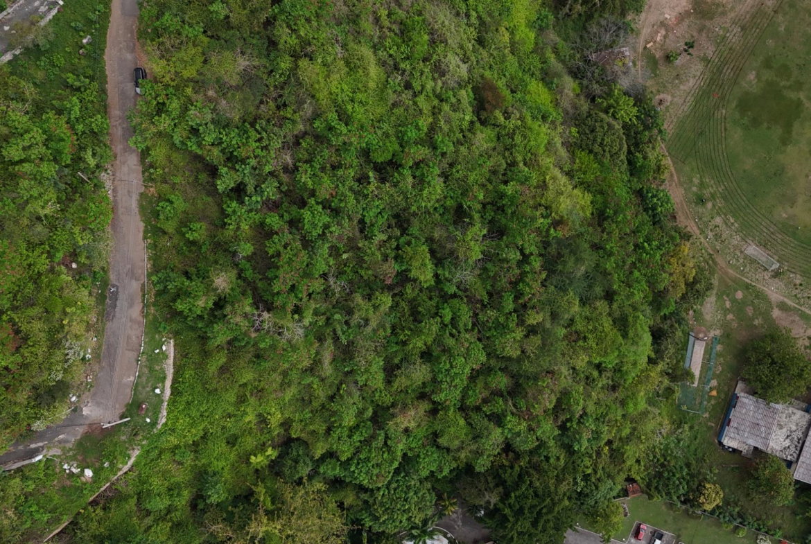 Eighth image of Lot 95 Cardiff Hall in Runaway Bay, St. Ann, Jamaica - property is For Sale