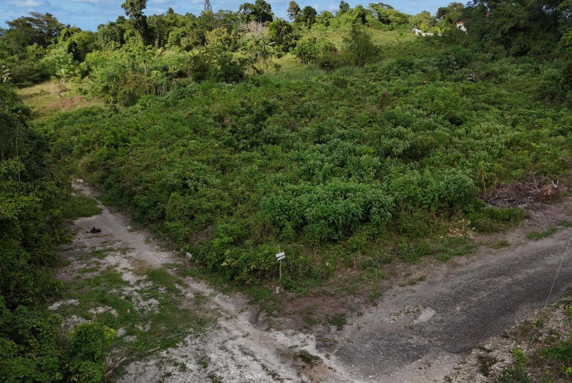 Ninth image of Lot 95 Cardiff Hall in Runaway Bay, St. Ann, Jamaica - property is For Sale