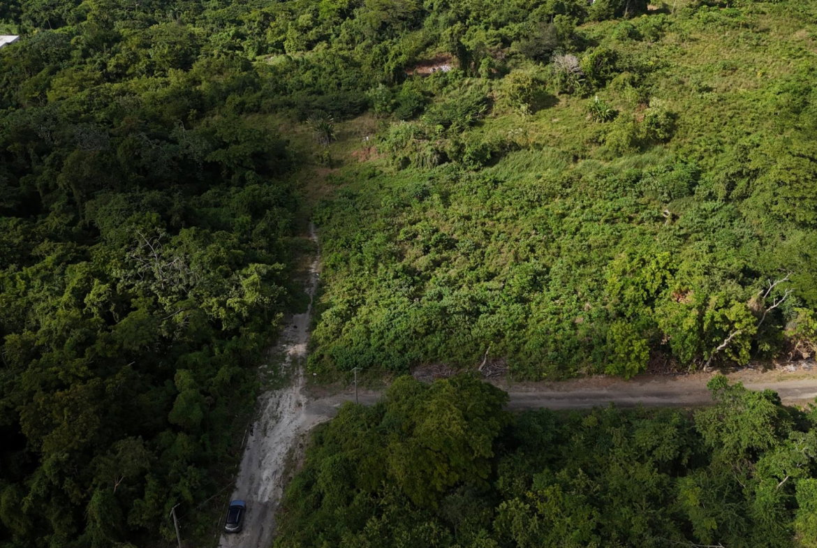Tenth image of Lot 95 Cardiff Hall in Runaway Bay, St. Ann, Jamaica - property is For Sale