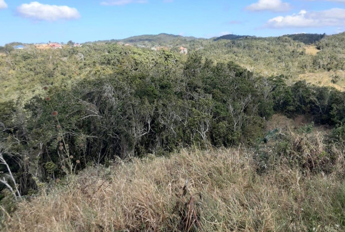 Fifth image of Lot 8 Chevely Estates in Spur Tree, Manchester, Jamaica - property is For Sale