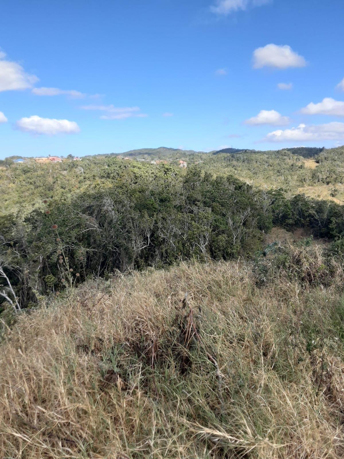 Residential-Lot-for-Sale-in-Chevely-Estates-Jamaica-Build-Your-Dream-Home Fifth image of Lot 8 Chevely Estates in Spur Tree, Manchester, Jamaica - property is For Sale