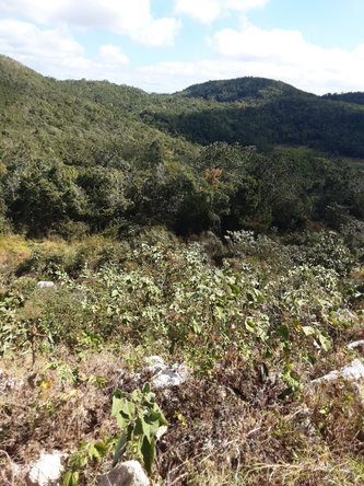 Sixth image of Lot 8 Chevely Estates in Spur Tree, Manchester, Jamaica - property is For Sale