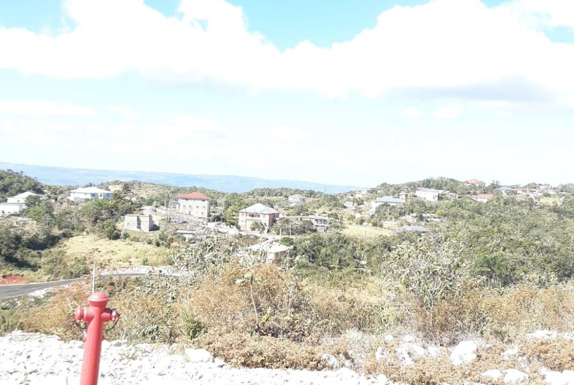 Ninth image of Lot 8 Chevely Estates in Spur Tree, Manchester, Jamaica - property is For Sale