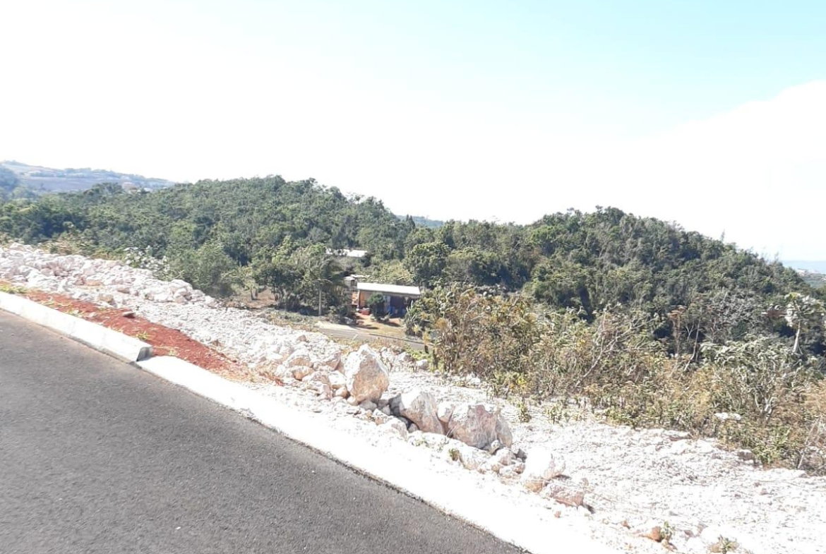 Tenth image of Lot 8 Chevely Estates in Spur Tree, Manchester, Jamaica - property is For Sale