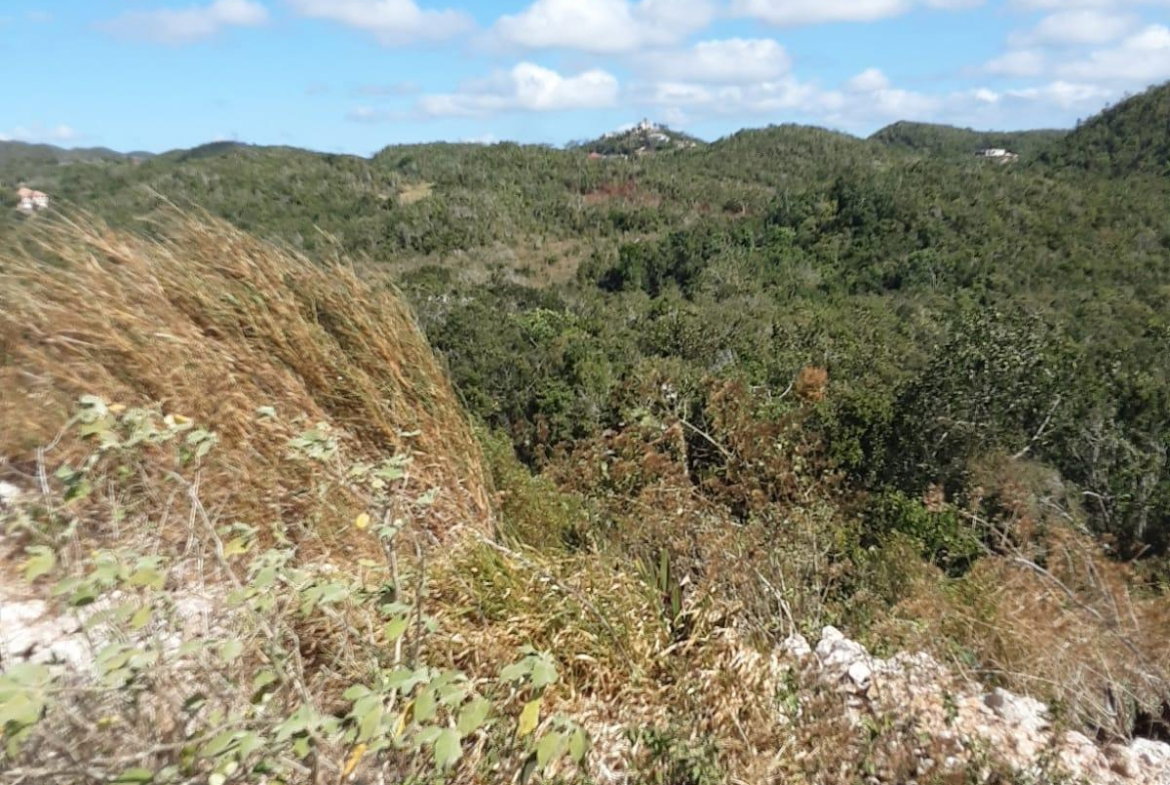 Eleventh image of Lot 8 Chevely Estates in Spur Tree, Manchester, Jamaica - property is For Sale