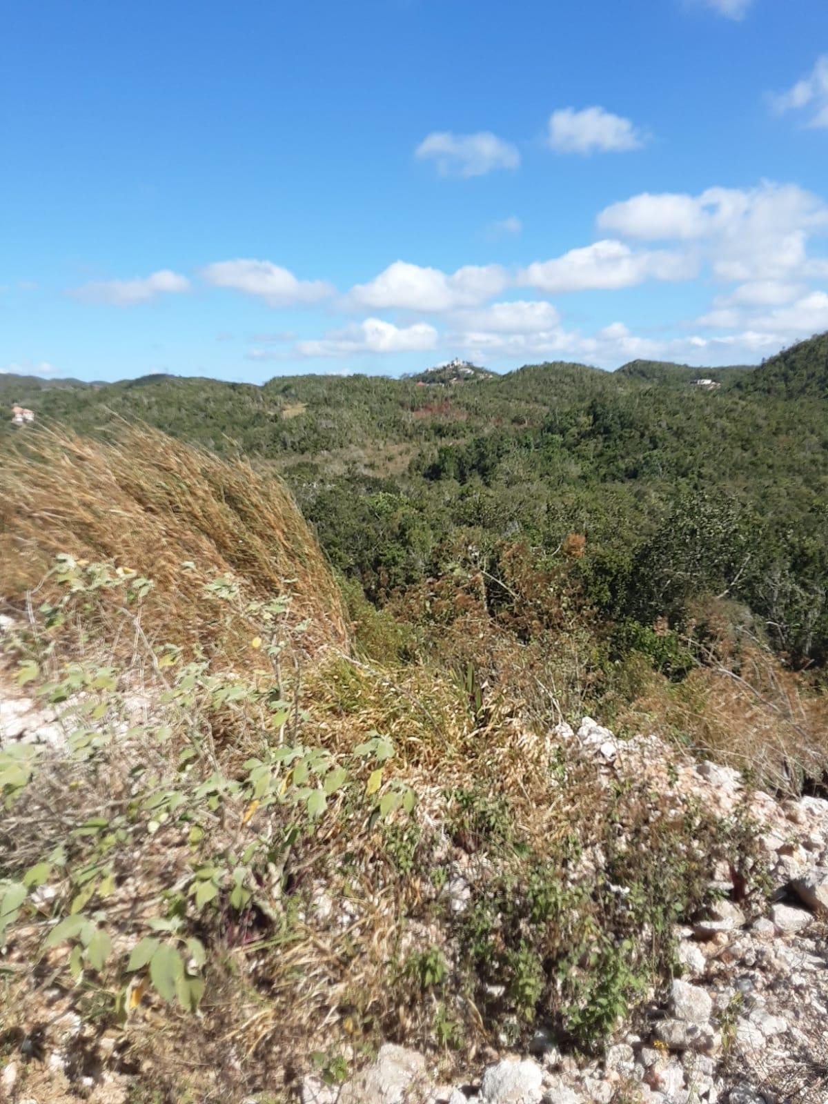 Residential-Lot-for-Sale-in-Chevely-Estates-Jamaica-Build-Your-Dream-Home Eleventh image of Lot 8 Chevely Estates in Spur Tree, Manchester, Jamaica - property is For Sale