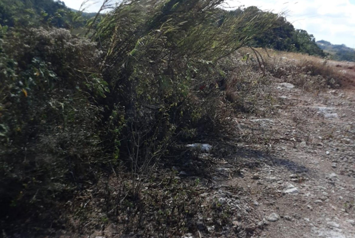 Seventh image of Lot 10 Chevely Estates in Spur Tree, Manchester, Jamaica - property is For Sale