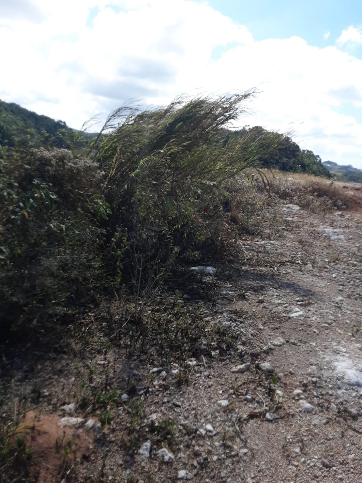Residential-Lot-for-Sale-in-Chevely-Estates-Jamaica-Build-Your-Dream-Home Seventh image of Lot 10 Chevely Estates in Spur Tree, Manchester, Jamaica - property is For Sale