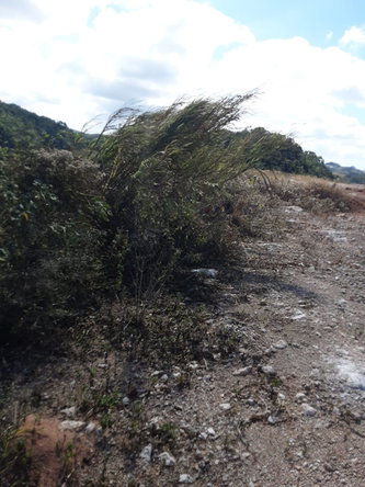 Seventh image of Lot 10 Chevely Estates in Spur Tree, Manchester, Jamaica - property is For Sale