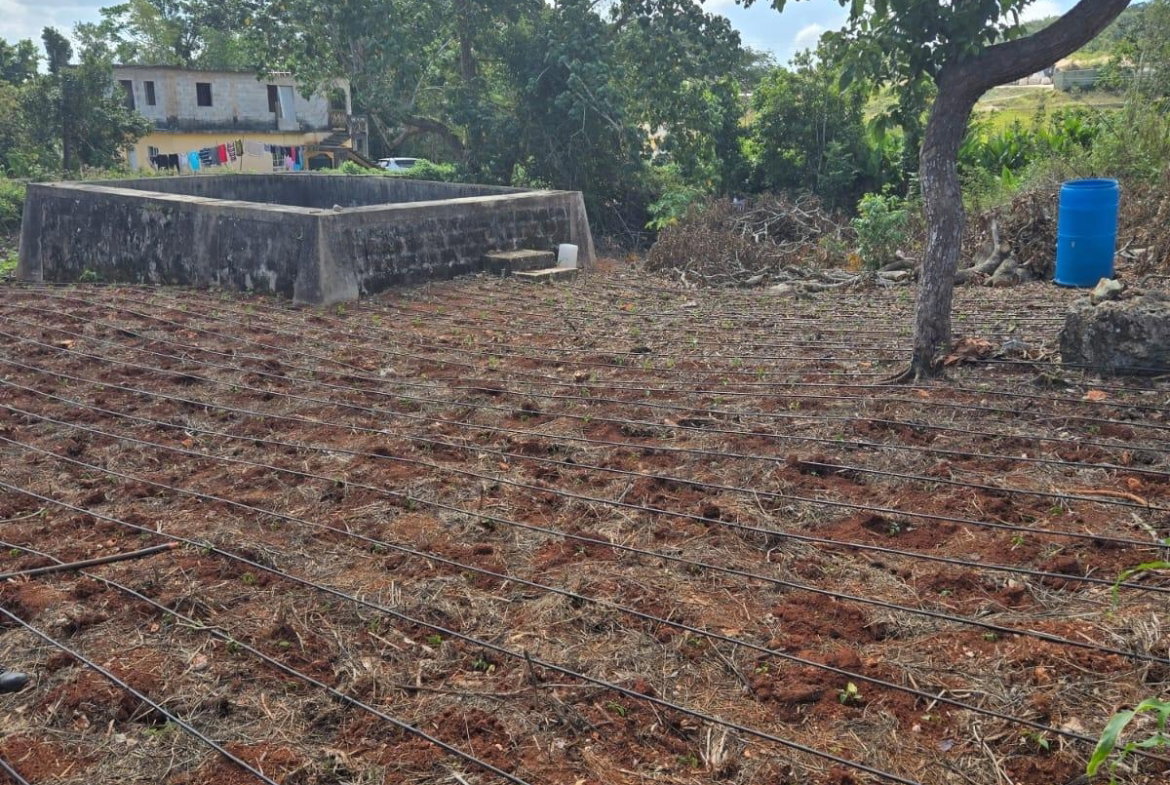 Second image of Heathfield, Manchester in Heathfield, Manchester, Jamaica - property is For Sale