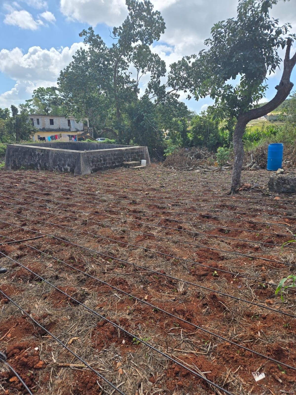 Residential-Lot-for-Sale-in-Heathfield-Manchester-Jamaica-Prime-Location Second image of Heathfield, Manchester in Heathfield, Manchester, Jamaica - property is For Sale