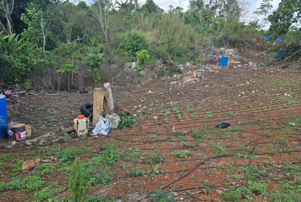 First image of Heathfield, Manchester in Heathfield, Manchester, Jamaica - property is For Sale