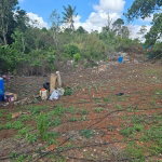 First image of Heathfield, Manchester in Heathfield, Manchester, Jamaica - property is For Sale