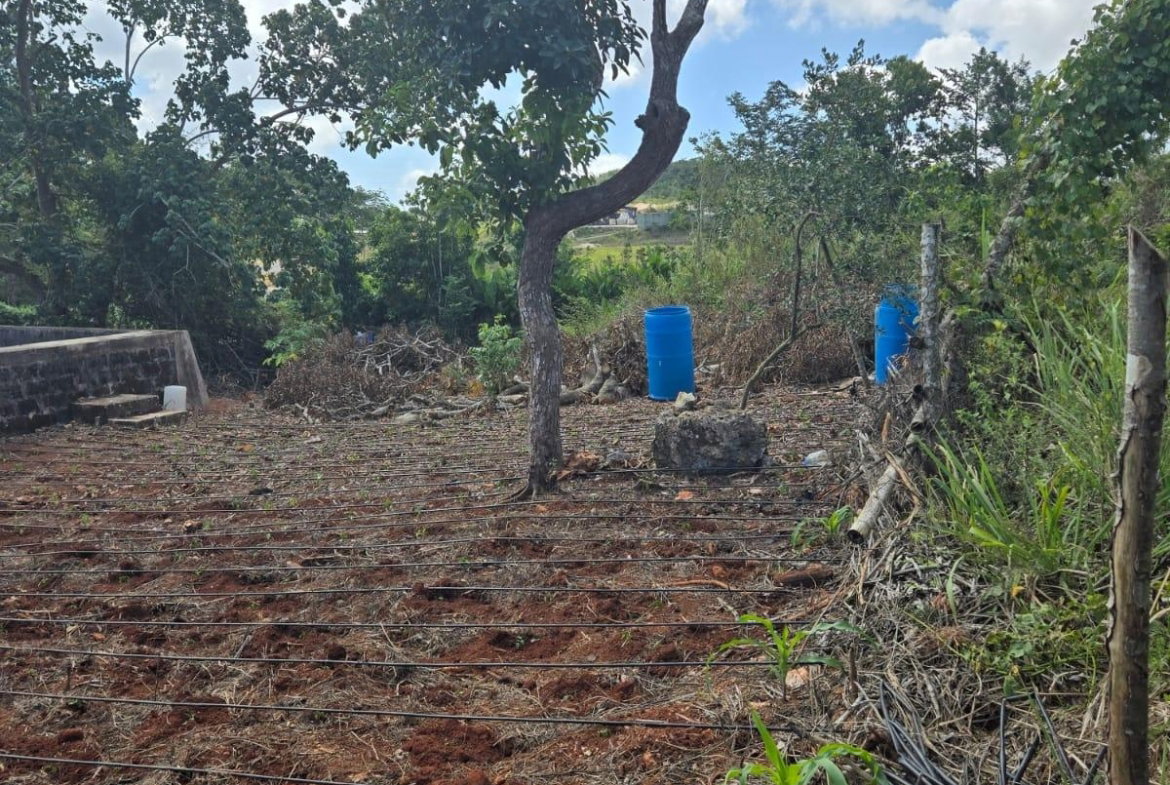 Fifth image of Heathfield, Manchester in Heathfield, Manchester, Jamaica - property is For Sale