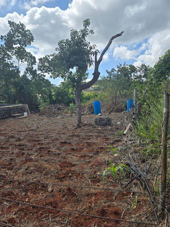 Fifth image of Heathfield, Manchester in Heathfield, Manchester, Jamaica - property is For Sale