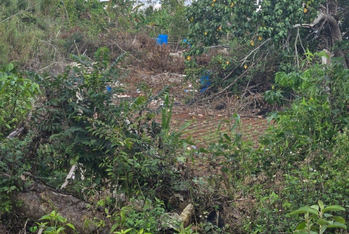 Sixth image of Heathfield, Manchester in Heathfield, Manchester, Jamaica - property is For Sale