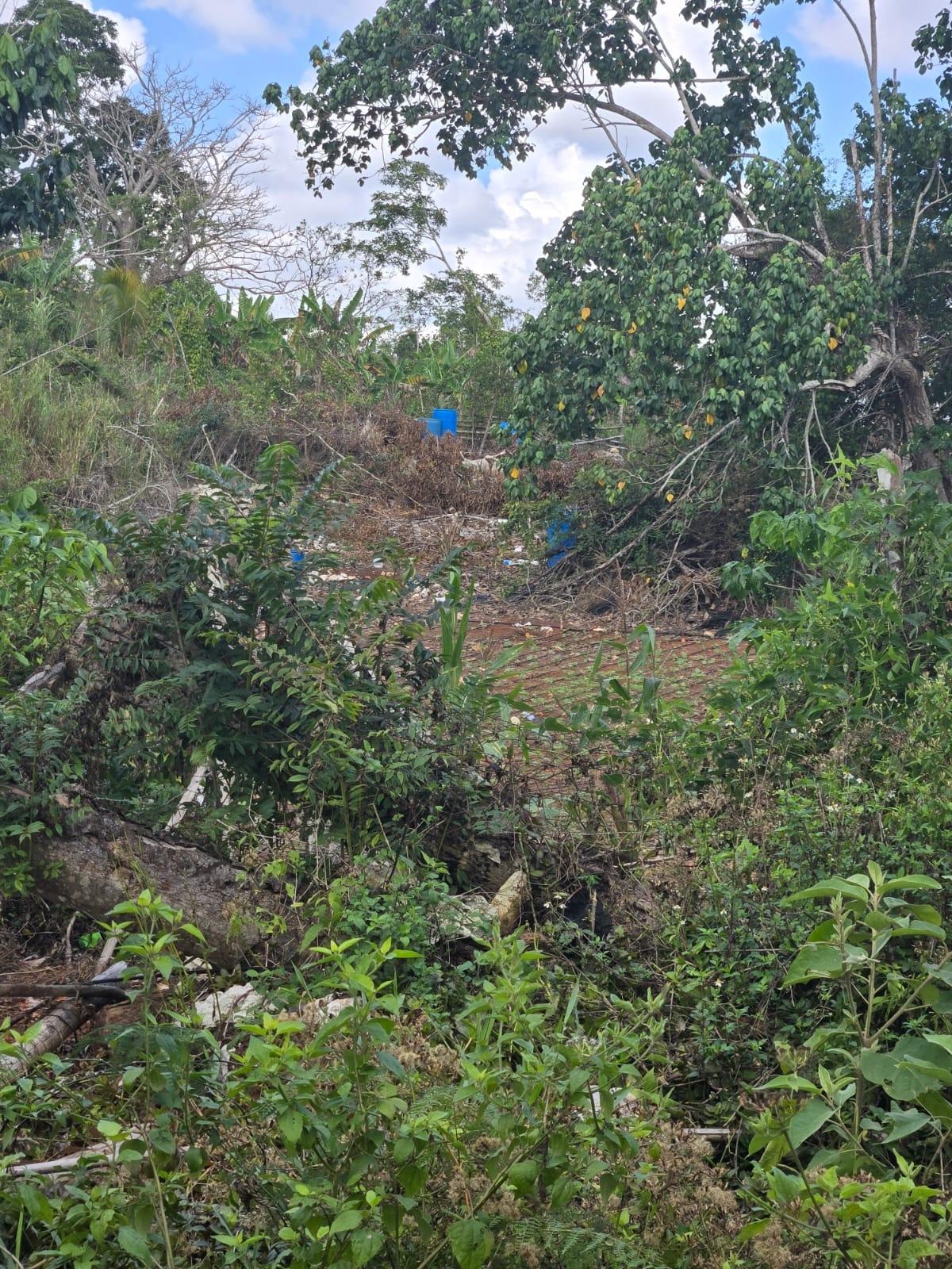 Residential-Lot-for-Sale-in-Heathfield-Manchester-Jamaica-Prime-Location Sixth image of Heathfield, Manchester in Heathfield, Manchester, Jamaica - property is For Sale