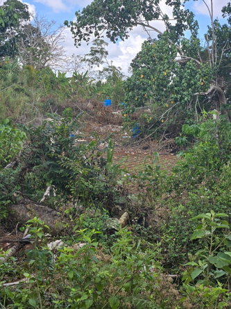 Sixth image of Heathfield, Manchester in Heathfield, Manchester, Jamaica - property is For Sale