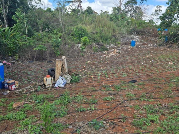 First image of Heathfield, Manchester in Heathfield, Manchester, Jamaica - property is For Sale