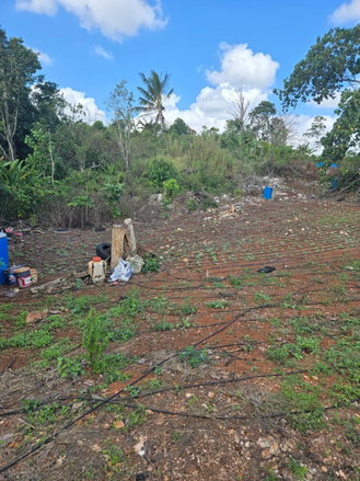 First image of Heathfield, Manchester in Heathfield, Manchester, Jamaica - property is For Sale