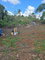 First image of Heathfield, Manchester in Heathfield, Manchester, Jamaica - property is For Sale