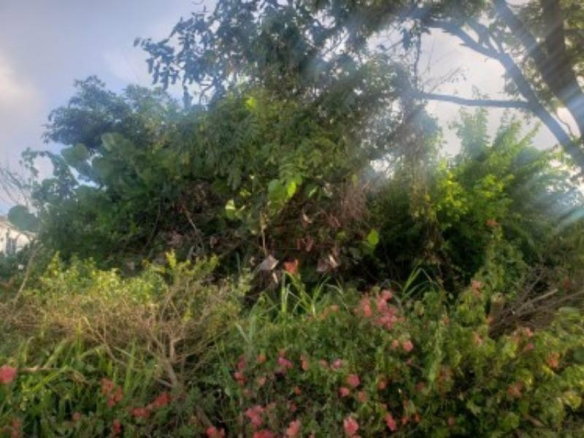 First image of Sign, Irwin in Montego Bay, St. James, Jamaica - property is For Sale