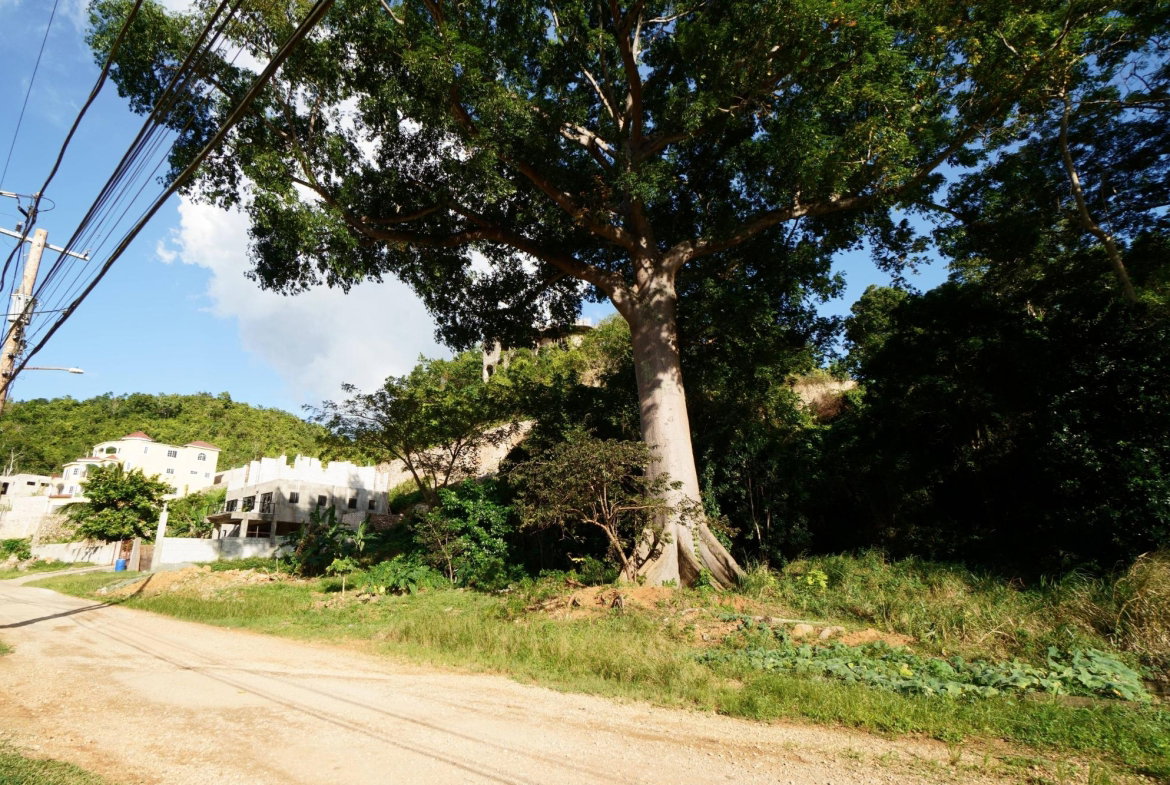 Fifth image of Marverly Mountain, Sterli in Red Hills, St. Andrew, Jamaica - property is For Sale