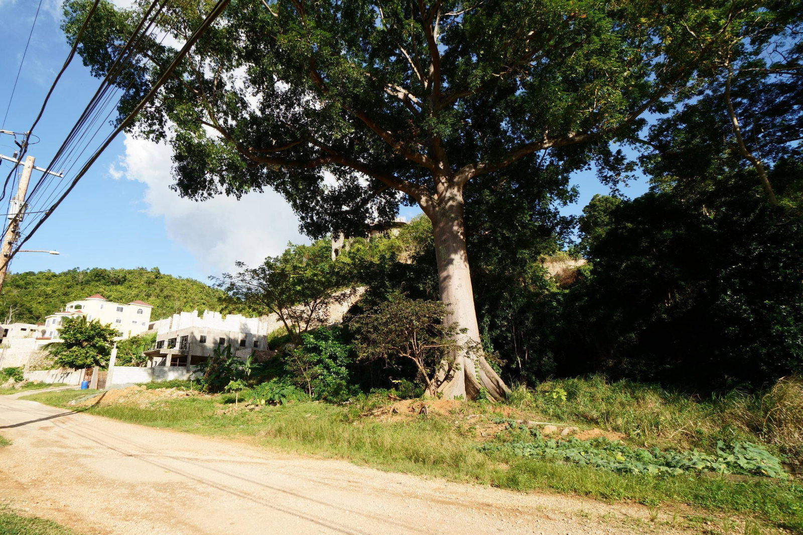 Fifth image of Marverly Mountain, Sterli in Red Hills, St. Andrew, Jamaica - property is For Sale