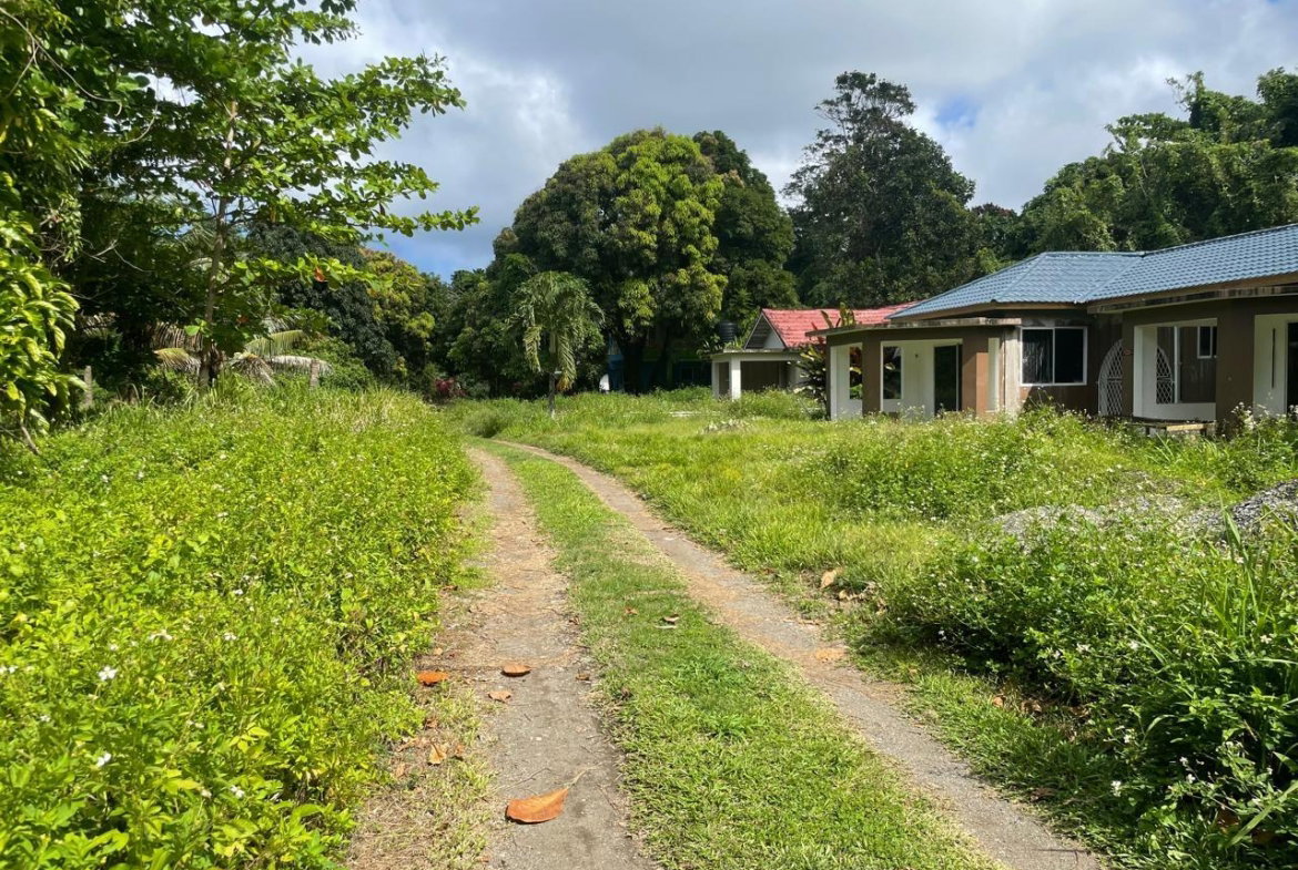 Second image of Lot-6 Burlington Estate in Burlington, Portland, Jamaica - property is For Sale